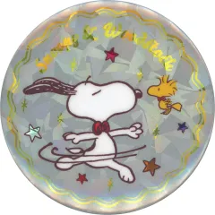 【中古】バッジ・ビンズ スヌーピー＆ウッドストック 「PEANUTS(SNOOPY) 75years シークレットホログラム缶バッジ」