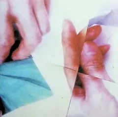 Euphorica / BUFFALO DAUGHTER and DELAWARE (CD)