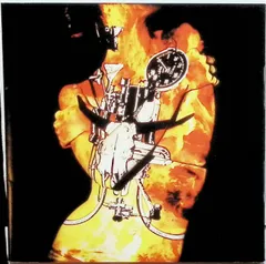 Black Luster Songs / THE RODEO CARBURETTOR (CD)