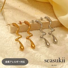 ⭐︎ 新品 ear PAPILLONNER ステンレス バイカラーくびれピアス - メルカリ