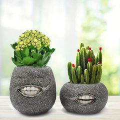 絵付き ボタニカル 大型植木鉢カバー 直径23.5cm 高さ20cm 鳥