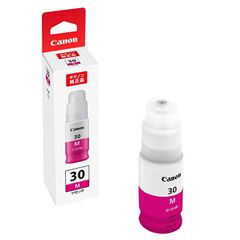 期限切れ】Canon 純正インクボトル GI-30 4色セット - メルカリ
