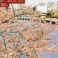 2026年最新】サニーデイサービス 東京 レコードの人気アイテム - メルカリ