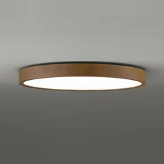 2026年最新】オーデリック シーリングライト sh8282ldrの人気アイテム