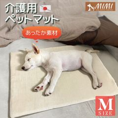 Item thumbnail for item e6ec9236-a632-41f3-8484-31c65aeeae00