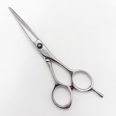 トギノンTOGINON】DYNA SAURUS ダイナザウルス リバース6.1 メガネ