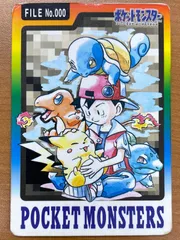 ポケモンカードダス　No.000 2025年最新】ポケモン カードダス 000の人気アイテム - メルカリ