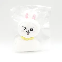 Stray Kids リービット リノ バッグチャーム 未開封 BAG CHARM World Tour dominATE  LEE KNOW Leebit ストレイキッズ スキズ SKZ