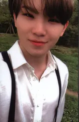 SEVENTEEN An Ode WOOZI トレーディングカード 緑