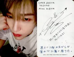 2025年最新】super junior サインの人気アイテム - メルカリ