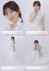 【中古】生写真(乃木坂46) ◇小田倉麗奈/櫻坂46ランダム生写真【「自業自得」ジャケット写真衣装】 4種コンプリートセット