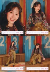 【中古】生写真(乃木坂46) ◇向井純葉/櫻坂46ランダム生写真【「UDAGAWA GENERATION」MV衣装】 4種コンプリートセット