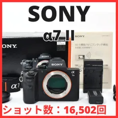 2025年最新】sony α7 ii ILCE-7M2の人気アイテム - メルカリ