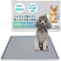 Item thumbnail for item 7034e29c-8c49-4cc7-8505-8cab22889df4