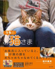 さて ねこ ぬいぐるみ 猫 ネコ sate 東京蚤の市 - メルカリ