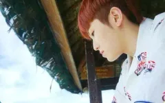 【中古】コレクションカード(男性) SEVENTEEN/WOOZI(ウジ)/2ND ALBUM『TEEN， AGE』(GREEN Ver.)特典トレカ