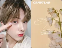 【中古】コレクションカード(男性) NCT DREAM/チソン(Jisung)/裏面印刷サイン入り/「NCT DREAM x CANDYLAB」対象商品購入特典セルフィーフォトカード