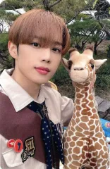 【中古】コレクションカード(男性) THE BOYZ/SUNWOO(ソヌ)/裏面青/「THE BOYZ 2023 SEASON’S GREETINGS」封入フォトカード