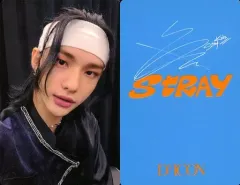 2025年最新】D'FESTAの人気アイテム - メルカリ