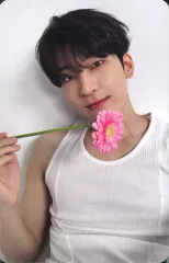 【中古】コレクションカード(男性) SEVENTEEN/ウォヌ(WONWOO)/CD「17 IS RIGHT HERE」(-DEAR Ver.-)封入ランダムフォトカード