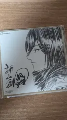 進撃の巨人 劇場版 ミカサ ビジュアル色紙