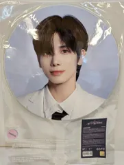 TXT 2025 ACT:PROMISE WORLD TOUR EP. 2 IN INCHEON TAEHYUN うちわ