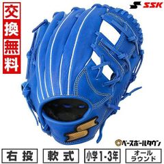 ミズノ 三浦モデル DeNA ベイスターズ 限定品 美品 投手用 軟式