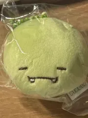 2025年最新】TEOLAEGIの人気アイテム - メルカリ