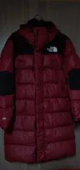 THE NORTH FACE ザノースフェイス ウィンドストッパー グースダウン ロング丈 ダウンジャケット