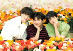 BTS ミニフォトカード RM/JIN/V 2018 LOVE YOURSELF JAPAN EDITION 1/8