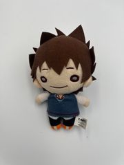 가정 교사 히트맨 REBORN! 니토탄 봉제인형 사와다 츠나요시