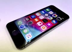 docomo iPhone5s 64GB スペースグレイ 判定〇