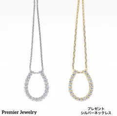 馬蹄形　プラチナダイヤモンドネックレス　プレゼント付✨