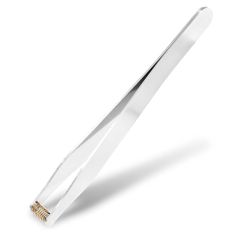 Item thumbnail for item 8f74548a-23a6-4e74-8cce-894e7824c4fe