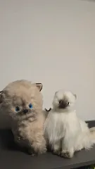 猫のぬいぐるみ ヴィンテージ