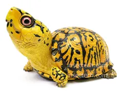 2026年最新】動物の惑星の人気アイテム - メルカリ