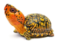 2025年最新】動物の惑星 フィギュアの人気アイテム - メルカリ