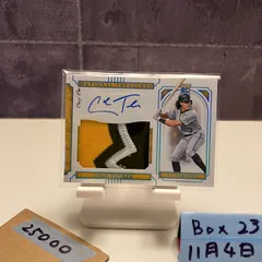 2019 Panini Cole Tucker 直筆サインカード Pittsburgh Pirates パッチ RC ルーキー Rookie カード