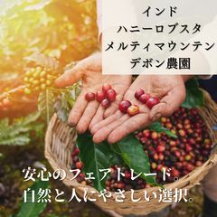 コーヒー生豆/インド/メルティーマウンテン/ロブスタ/ハニープロセス