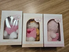 DAY6（デイシックス） プチマルチボイス ㅡ フィール