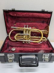 Small World(スモールワールド) ディスクオルガニート20 4MH729RH