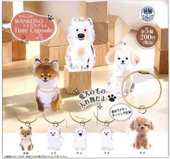 ビーム わんこのタイムカプセル 全5種セット ガチャガチャ カプセルトイ ガチャ フルコンプ コンプリートセット
