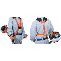 Item thumbnail for item 858d5002-4208-4fa1-8dd7-da0cda5852e5