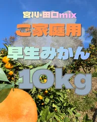 2025年最新】dezert 田口の人気アイテム - メルカリ