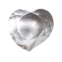 ポリス 22428BLB02 POLICE ブレスレット 22428BLB02 WRAITH