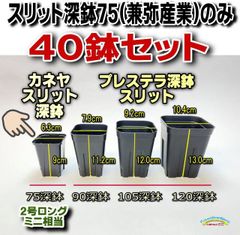 カネヤ＊スリット深鉢75型(2号ロング相当一辺6.3cm)カネヤEG-75Lスリット40鉢＊兼弥産業＠多肉植物・塊根植物コーデックス・アガベ・サボテン・観葉・ハオルチア・アデニウム・パキポディウム＊グラキリス実生＊プレステラ深鉢75型同等＠フラワーショップ江口