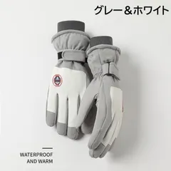 新品 スキーグローブ レディース スノーボードグローブ スキー手袋 防寒グローブ