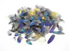 しあわせの青い鳥 テリムクの羽根セット(Sサイズ×200本)  天然 ハンドメイド 材料 素材 フェザー  鳥の羽  鳥の羽根 まとめ売り