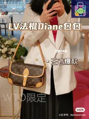 【今日特価】LV ジップ付き Diane ハンドバッグ 送料無料！在庫限定価格