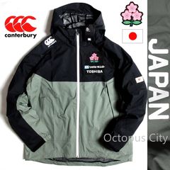 Item thumbnail for item 5ede194e-7ed9-45c1-a513-d8f795d3d34b